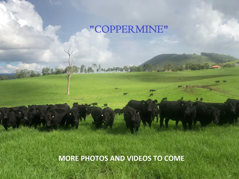 Expressions of Interest