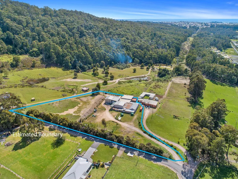 Diversity and Potential