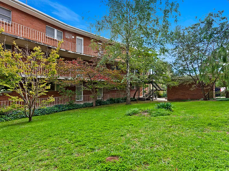 Sun-drenched and Updated One Bedroom Apartment