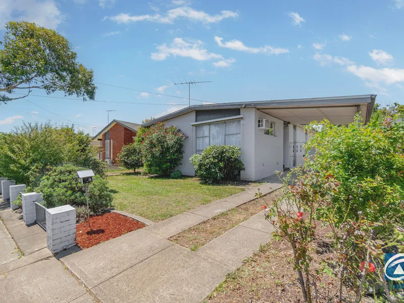 The Perfect Investment!