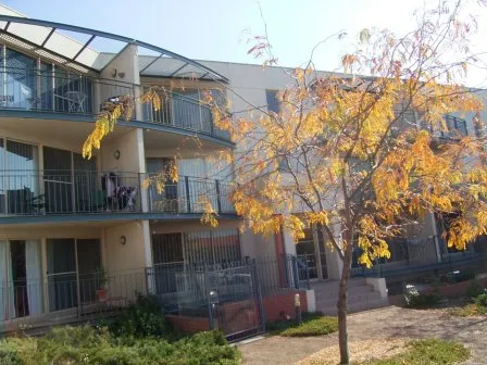 Affordable Three Bedroom Apartment  in Great Location
