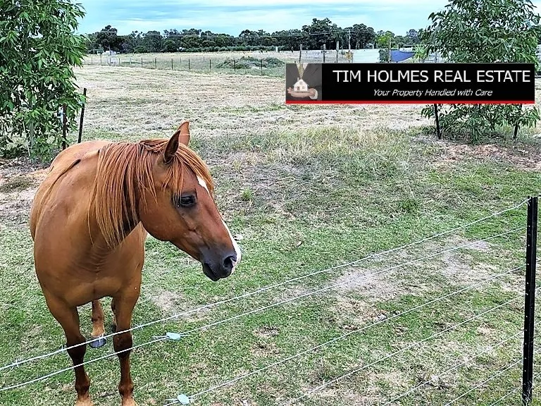 AS RARE AS HENS TEETH!