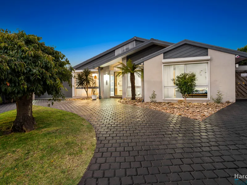 An Entertainers Dream!