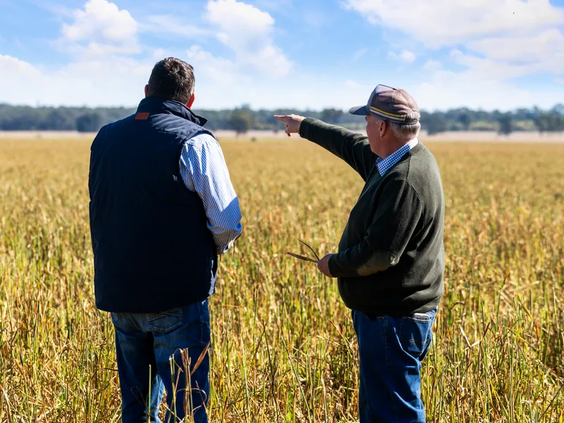 Versatile Inner Downs Brigalow Belah Mixed Farming Enterprise
