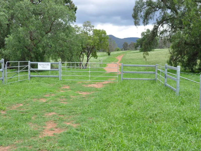 40Ha WITH EXCEPTIONAL BUILDING SITES LOCATED AT DOYLES CREEK