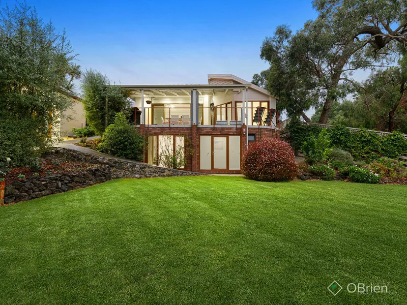 Well Worth The Look – There's Too Much to Mention!