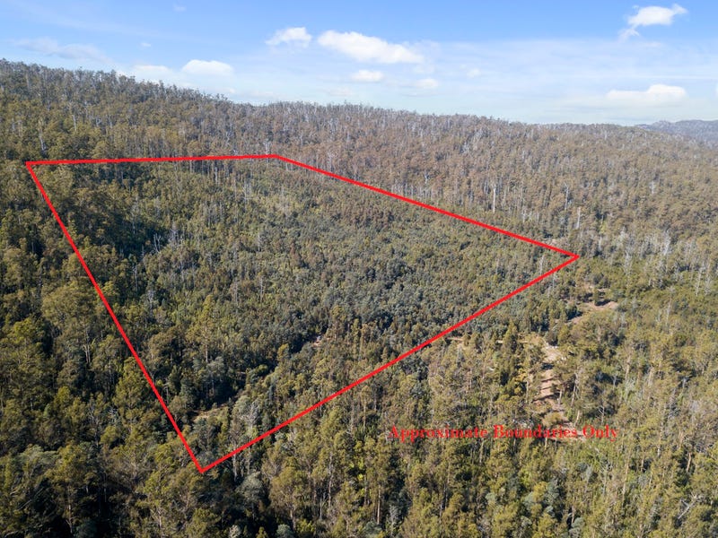 430 Braslins Road, Black Hills, TAS 7140