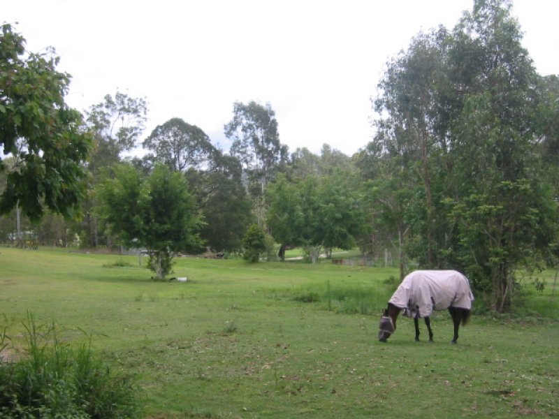 30 Westbourne Drive, Wights Mountain, QLD 4520