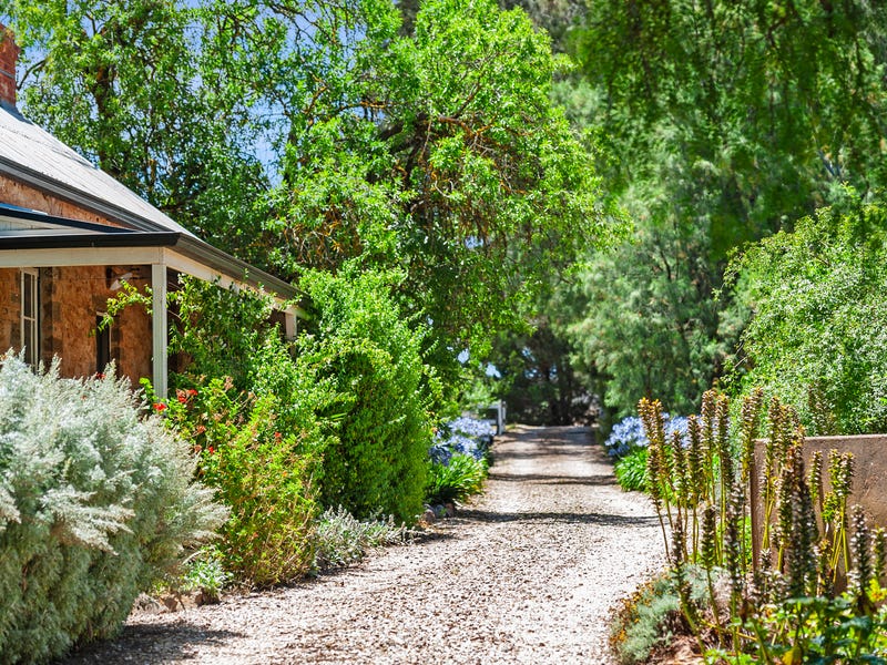 5384 Balaklava Road, Auburn, SA 5451 House for Sale