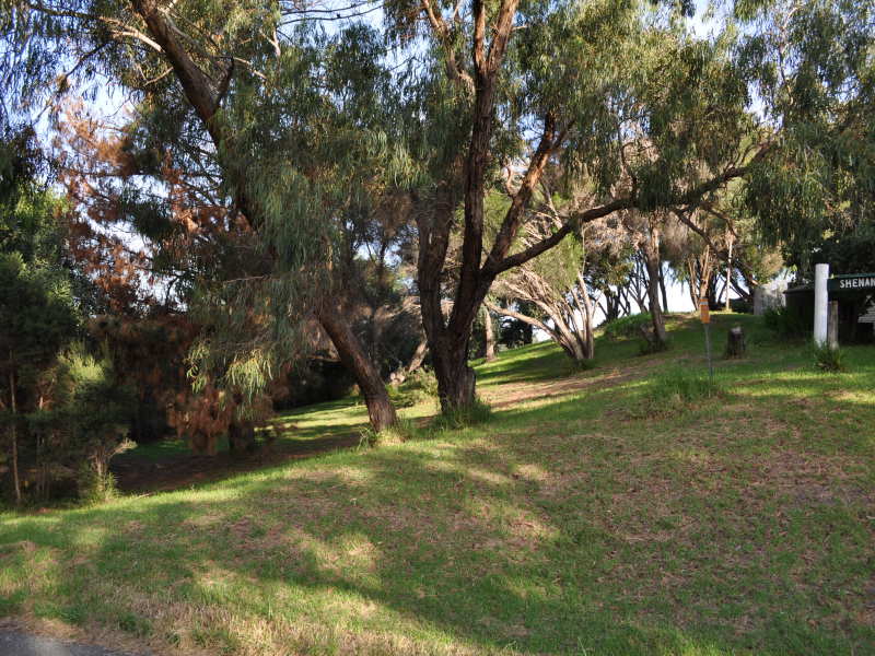 51 Wishart Street, Wonthaggi, VIC 3995