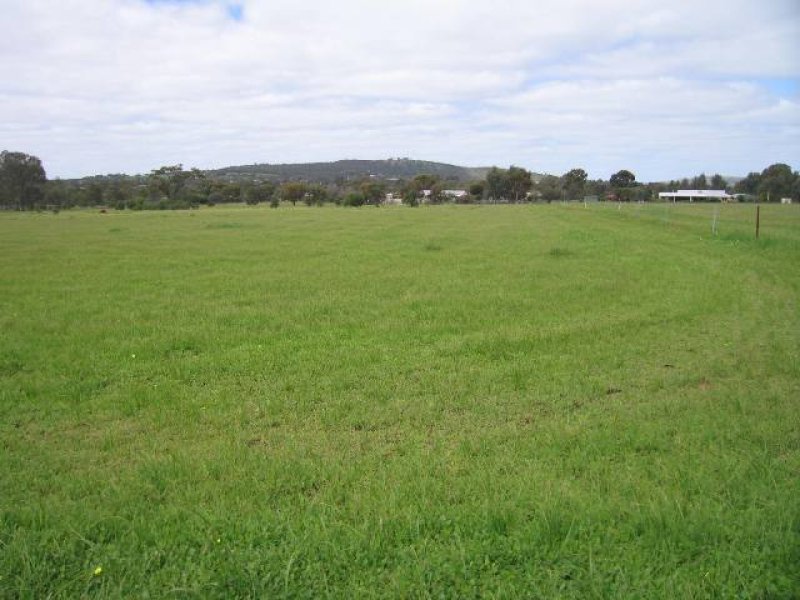 6 Carter Road, York, WA 6302 - realestate.com.au