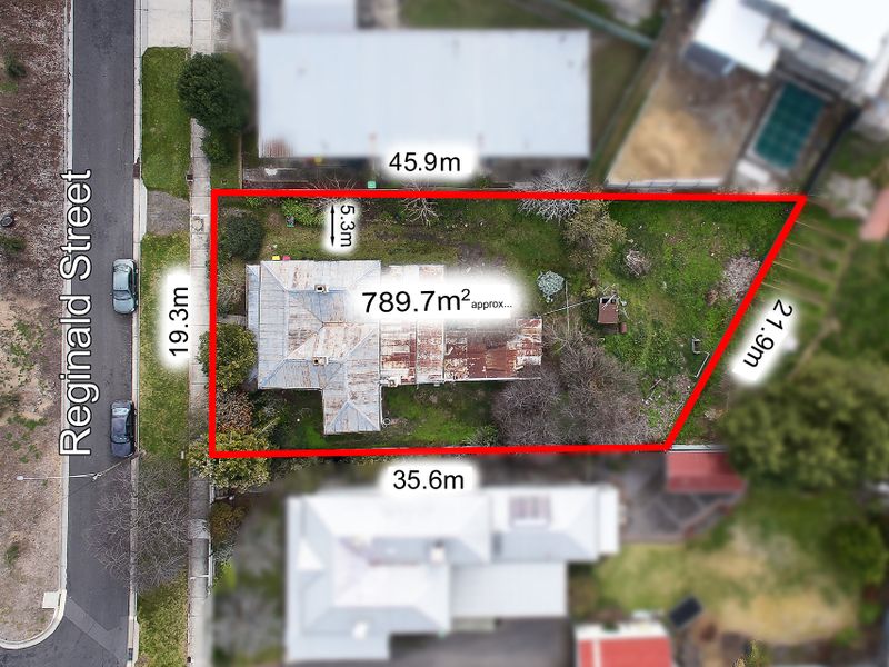 19 Reginald Street, Quarry Hill, VIC 3550