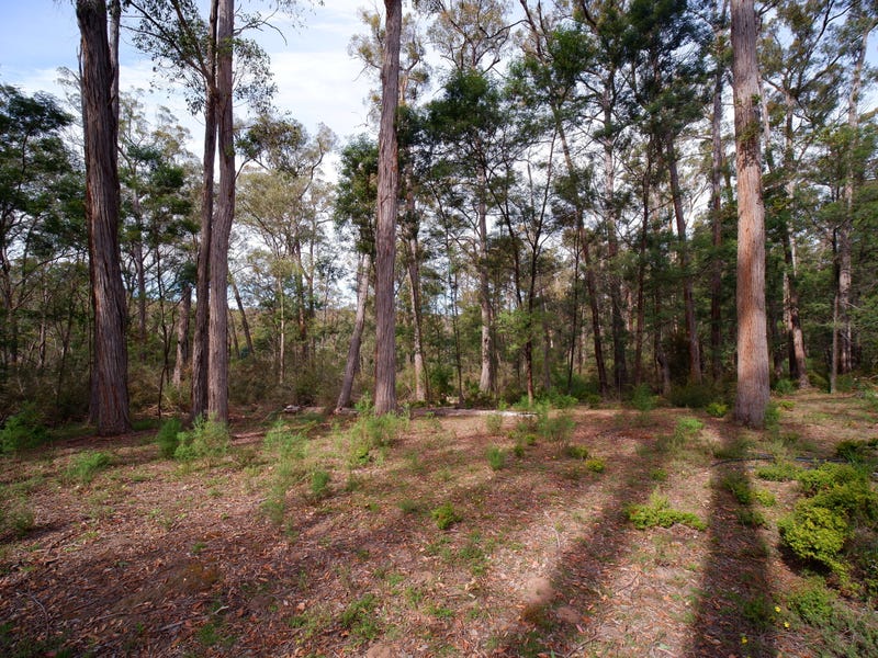 385 Dead Cow Track, Bruthen, VIC 3885