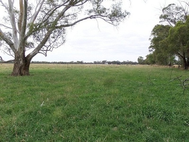 421 GoornongFosterville Road, Goornong, Vic 3557 Property Details