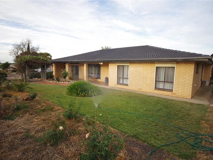 131 Harry Butler Road, Minlaton, SA 5575 Property Details