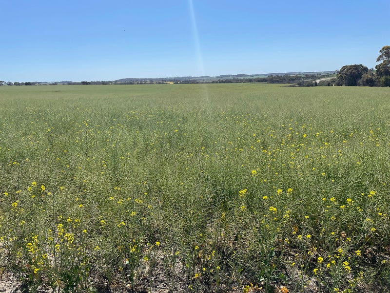 Lot 150 Mawson Road, Beverley, WA 6304 - Property Details