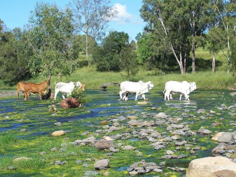 1668 Mount Sylvia Road, Mount Sylvia, QLD 4343