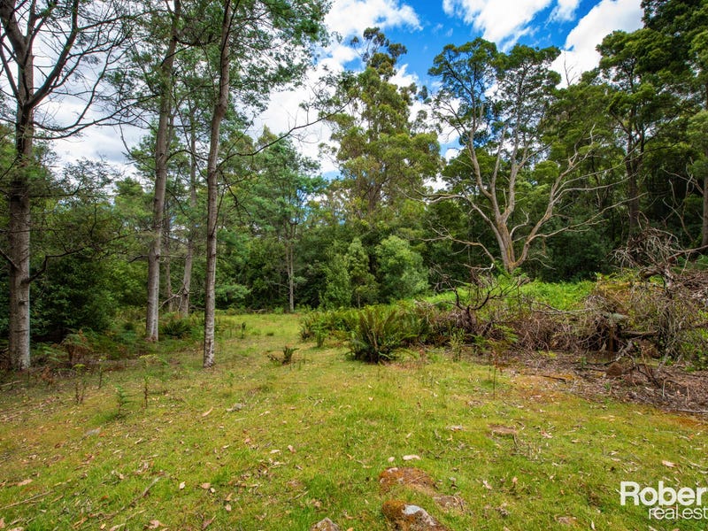 Lot 1/175 Glenford Farm Road, Underwood, Tas 7268 Property Details