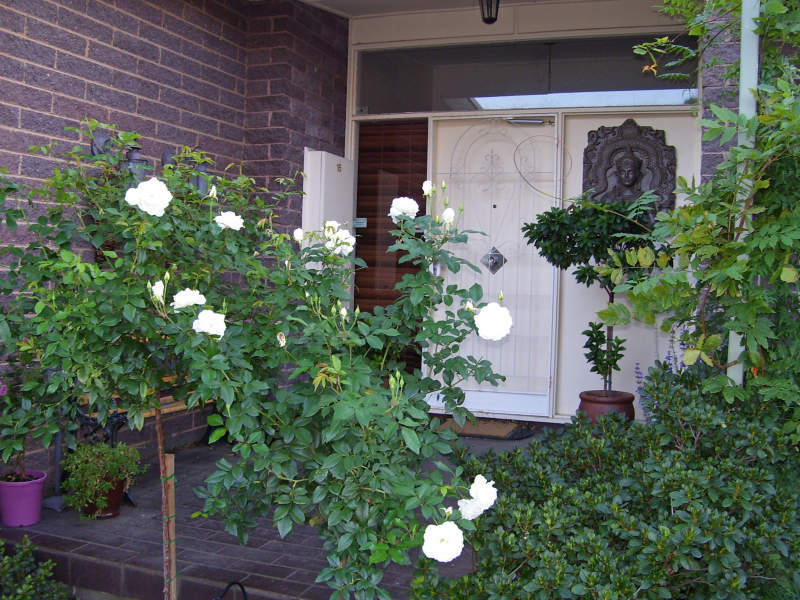 16 Woolwich Dr, Mulgrave, Vic 3170 Property Details