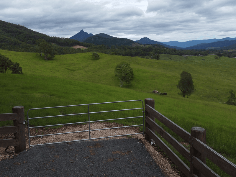 316 Bakers Road, Byangum, NSW 2484 Residential Land for Sale