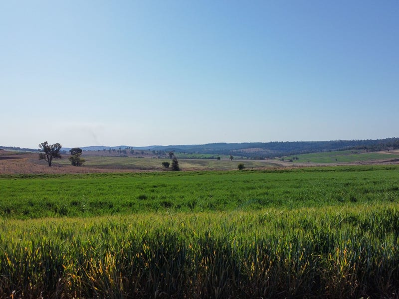 11608 Gwydir Highway, Delungra, NSW 2403 Cropping for Sale