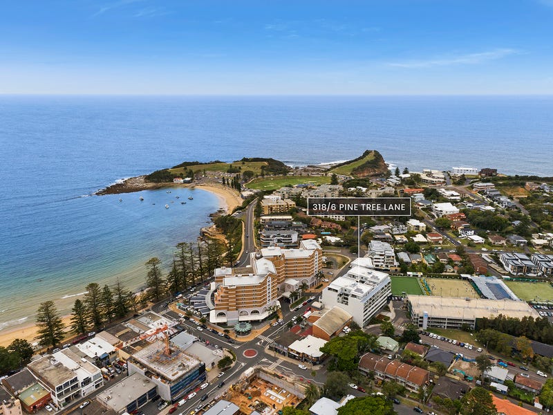 318/6 Pine Tree Lane, Terrigal, NSW 2260 Property Details