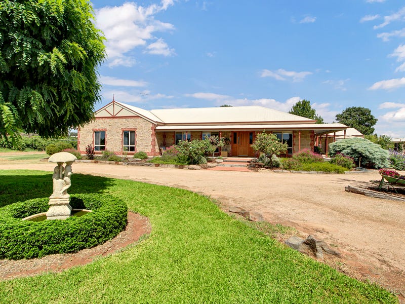 60 Chowilla Street, Renmark, SA 5341 Property Details