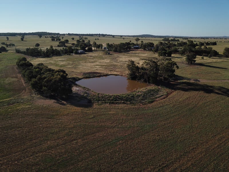 Wildwood Salters Lane, Ardlethan, NSW 2665 Property Details