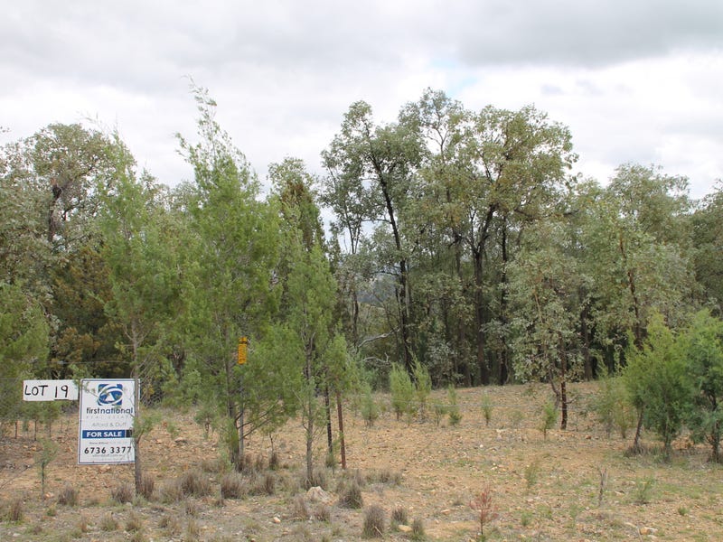 Lot 19 Mountain Creek Road, Tenterfield, NSW 2372 Property Details