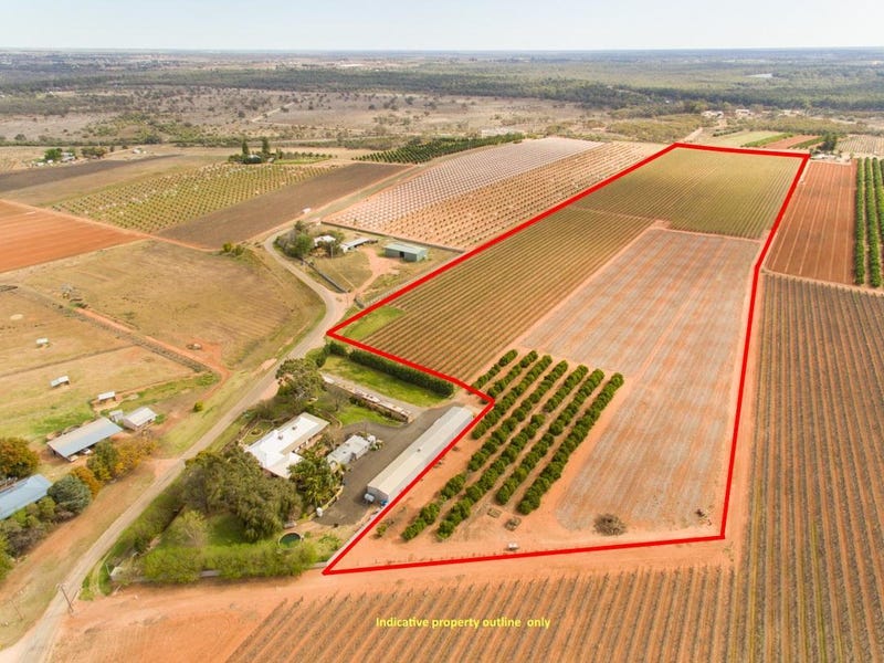 344 Bernarra Road, Dareton, NSW 2717 Property Details