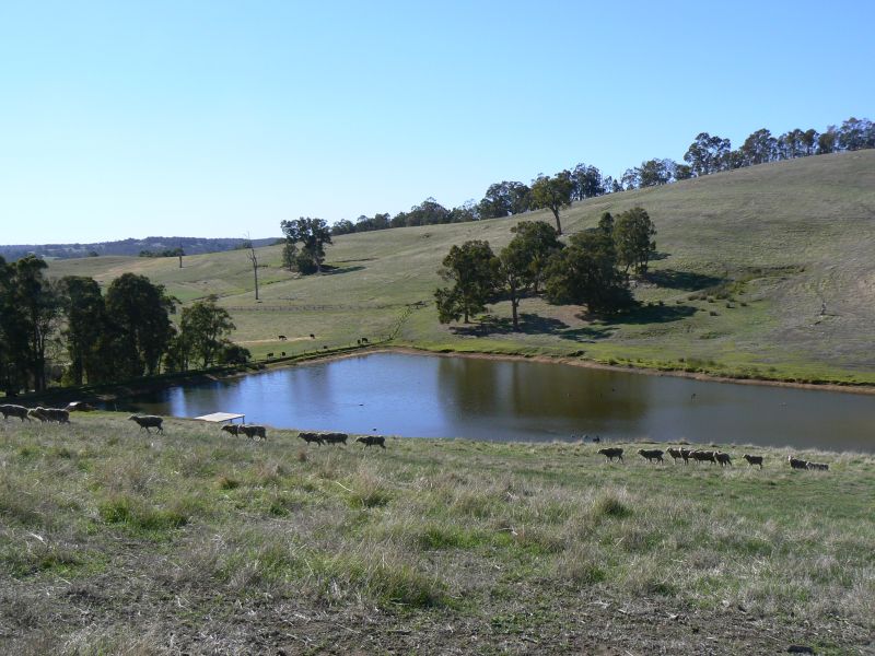 Lot 7 Attwood Road, Lowden, WA 6240 Property Details