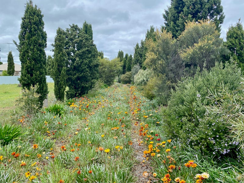 Real Estate & Property for Sale in Inverleigh, VIC 3321