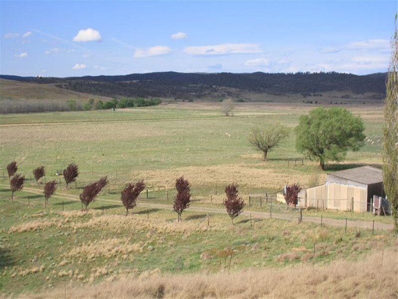 1175 Beresford Road, Rose Valley, NSW 2630