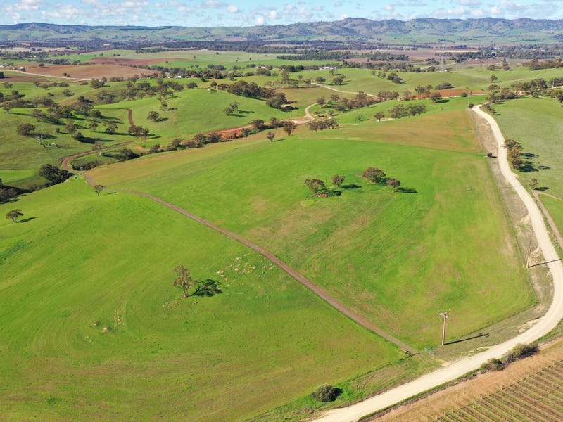 'Rosedale' Lot 90 Rosedale Scenic Road, Lyndoch, SA 5351 Property