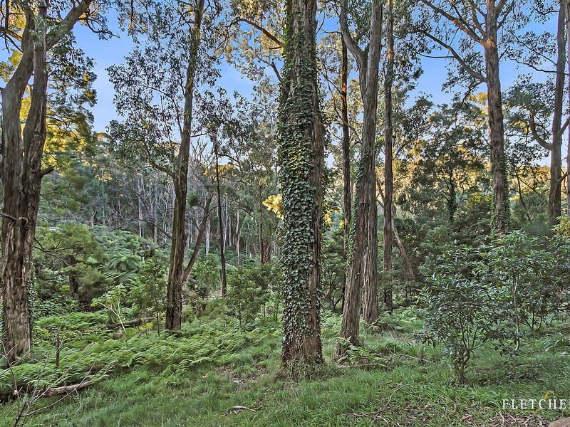 11 Peters Road, Belgrave, VIC 3160