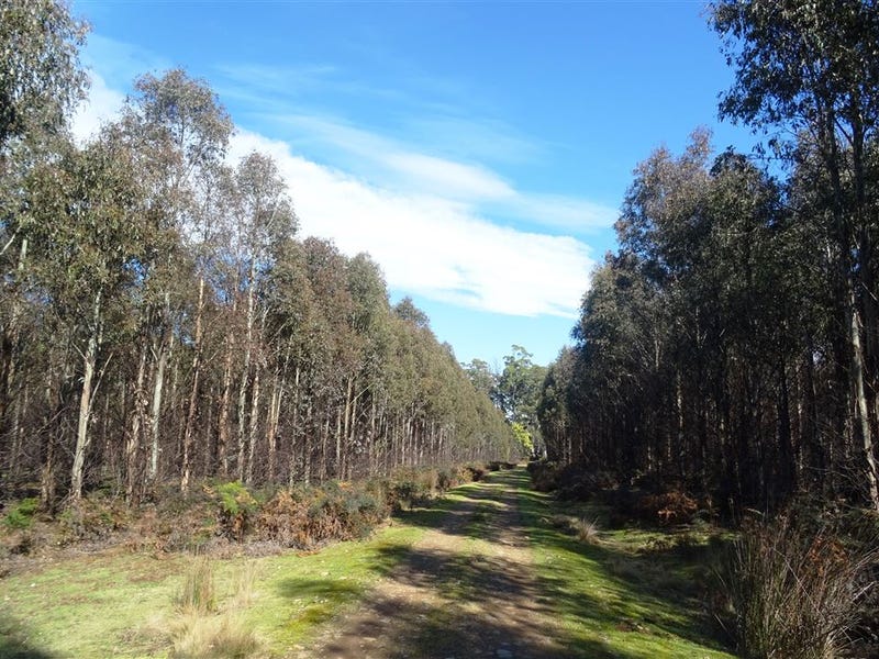 316 Claytons Road, Mathinna, TAS 7214