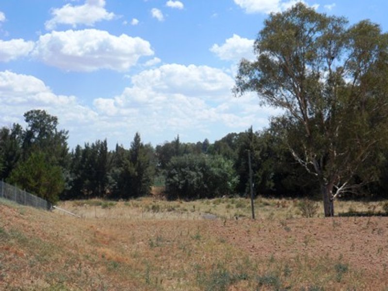 12 Canowindra Street, Canowindra, NSW 2804