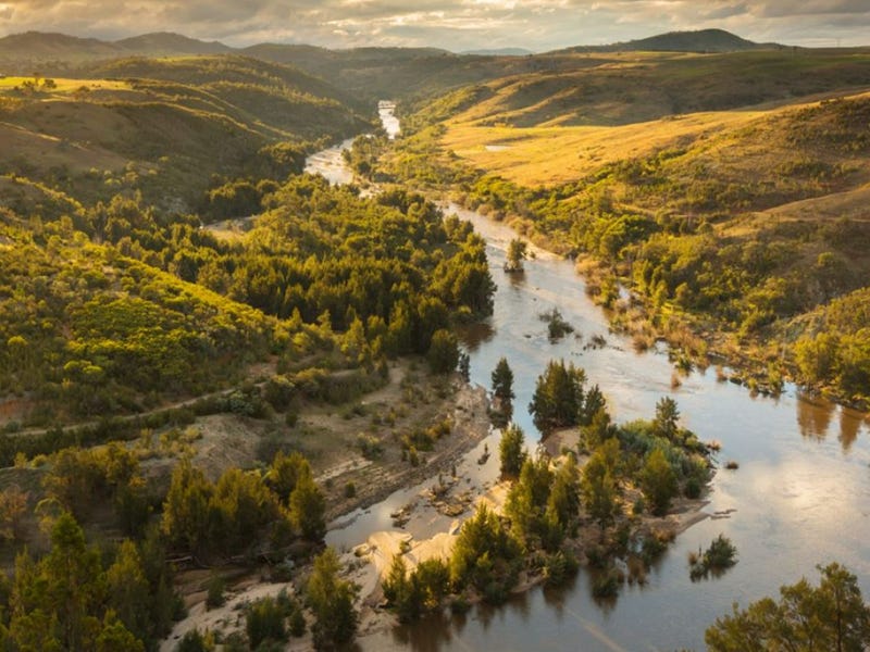 Real Estate & Property for Sale in Forrest, ACT 2603 (+1 location) Pg