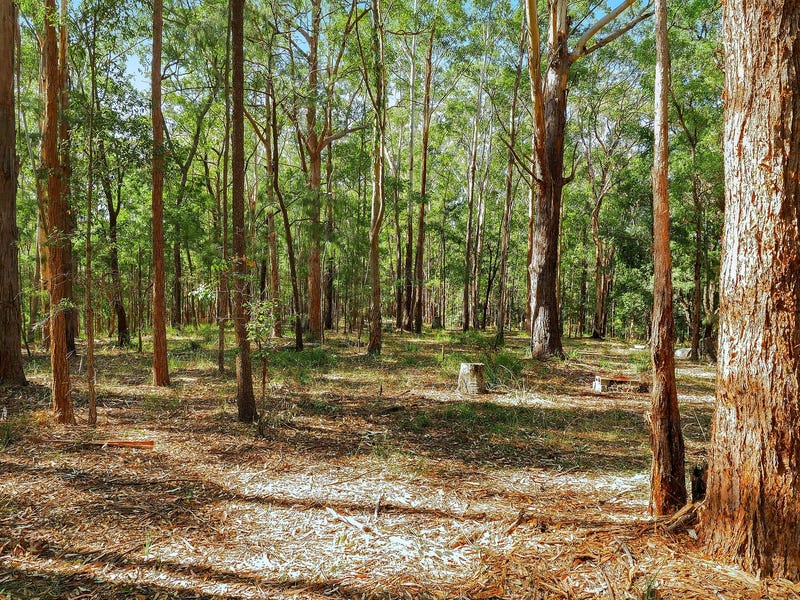 314 Pringles Road, Martinsville, NSW 2265