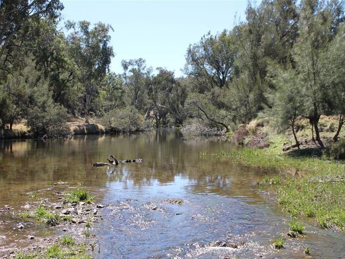 Lot 67 Mole River Road, Tenterfield, NSW 2372 Property Details