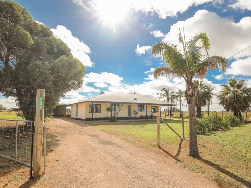 732 Cocklin Avenue, Red Cliffs, VIC 3496