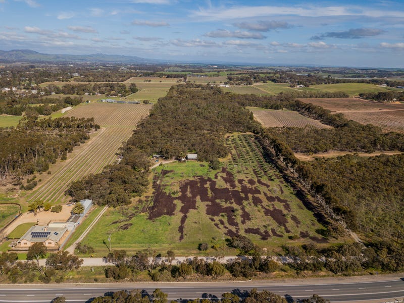 51 Peramangk Road, Nuriootpa, SA 5355 House for Sale