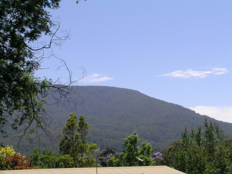 41 Old Warburton Road, Warburton, VIC 3799