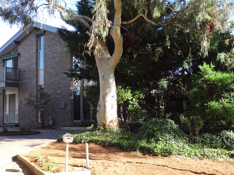 234 Beasley Street, Farrer, ACT 2607