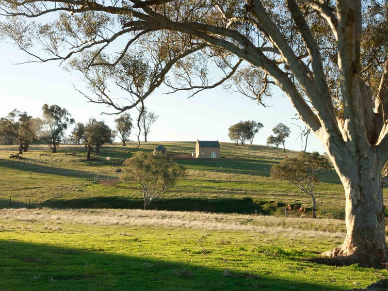 Yarra, Hughstonia Road, Binalong, NSW 2584 Livestock for Sale