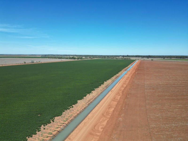 Citrus Grove Lachlan Valley Way, Hillston, NSW 2675 - Cropping for Sale ...