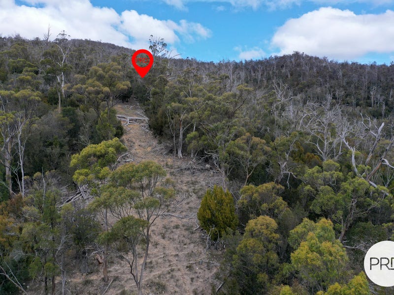 Lot 3 & 5, 482 Molesworth Road, Molesworth, Tas 7140 Residential Land for Sale