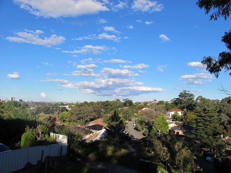 63 Banks Road, Earlwood, NSW 2206