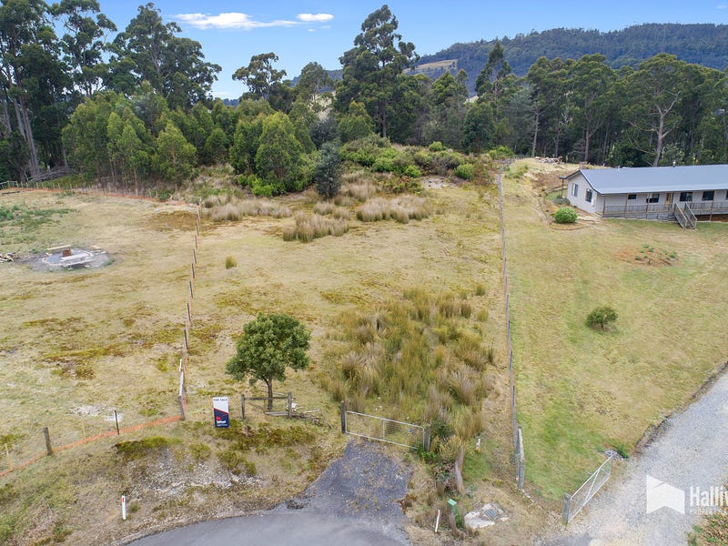 51 Roope Road, Lower Barrington, TAS 7306 - Realestate.com.au