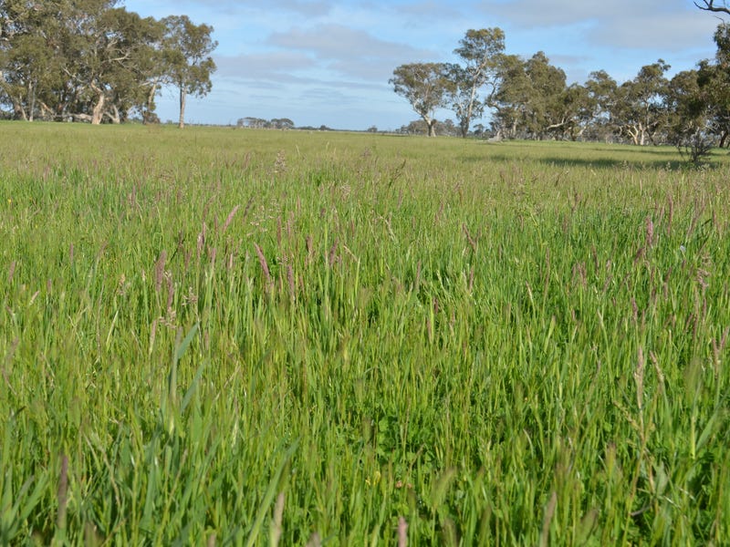 Real Estate & Property for Sale in Mount Gambier Greater Region, SA